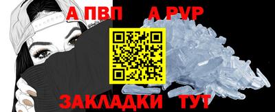стафф Гатчина
