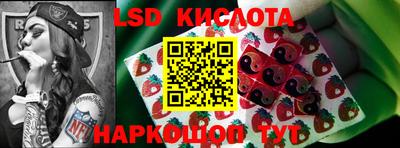 стафф Гатчина