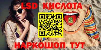 индика Гай