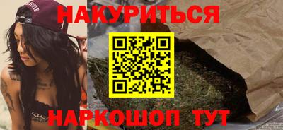 стафф Гатчина