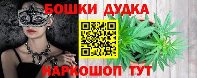 стафф Гатчина