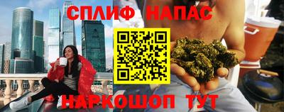 стафф Гатчина