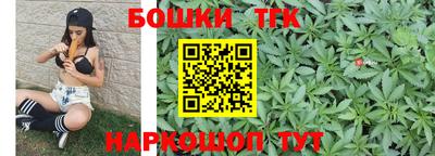 стафф Гатчина